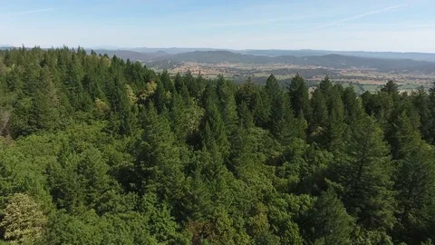 Aerial view over forest and valley Stock Footage 74753550