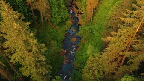 Aerial view over forest and river with tilt-up reveal large waterfall Video stock 77893807