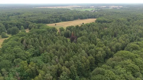 Aerial view over forest and clearings in Upper Lusatia 스톡 동영상 340646886