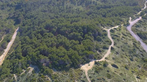 Aerial view over forest with camera pan up to mountains shot with INSPIRE 2 Stock Footage 101565332