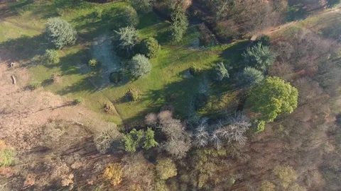 Aerial view over a forest during autumn in Paris Stock Footage 71533023