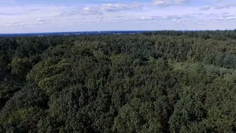 Aerial view over a forest. Stock Footage 70050868