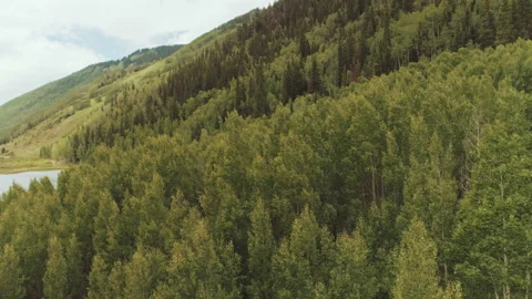 Aerial view over a forest Video stock 154872196