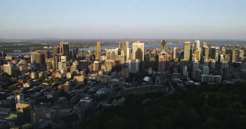 Aerial view over forest on Mount Royal, toward the downtown of Montreal, Stock Footage 258417018