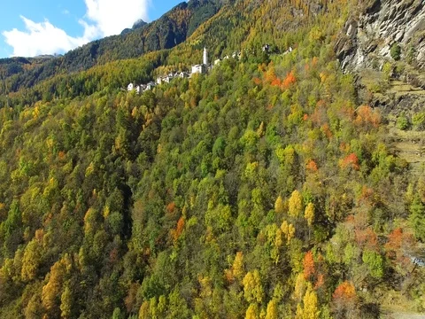 Aerial view over the forest mountain in autumn Stock Footage 70801431