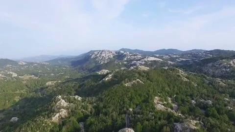 Aerial view over the forest in the mountains Stock Footage 81751054