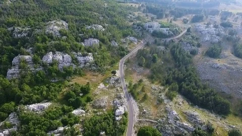 Aerial view over the forest in the mountains Stock Footage 81767064