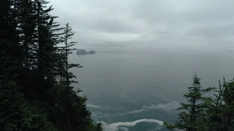 Aerial view over a forest at the top of sea cliffs and ocean Video stock 154931382
