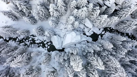 Aerial view over the forest, trees covered with snow and river. Stock Footage 120795063