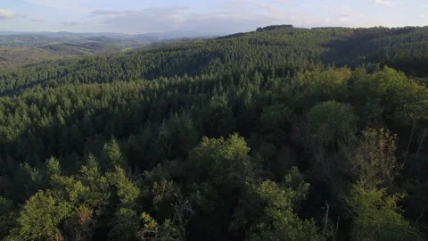 Aerial View Over Forest Valley. Auvergne, France. Stock Footage 141504082