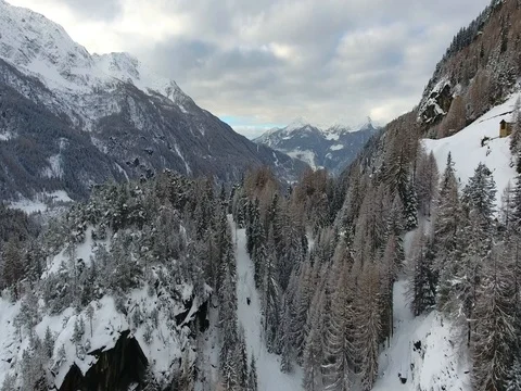 Aerial view over the forest in winter Stock Footage 72463720