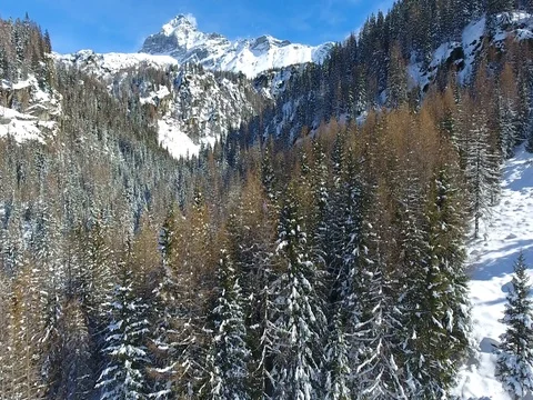 Aerial view over the forest in winter - High mountain Stock Footage 73111890