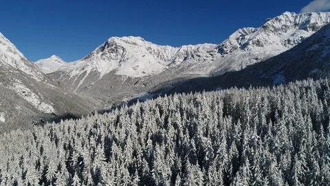 Aerial view over the forest, winter season. Stock Footage 106023383