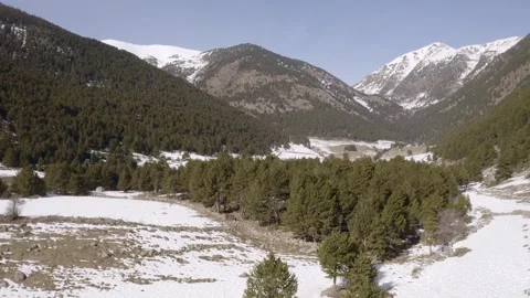 Aerial view over the forests of snowy mountains Stock-Footage 141452635