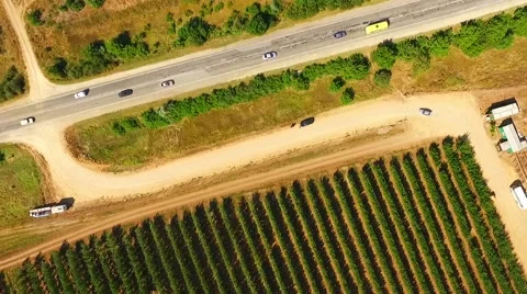 Aerial View Over Fruit Orchards And Road 스톡 동영상 55429670