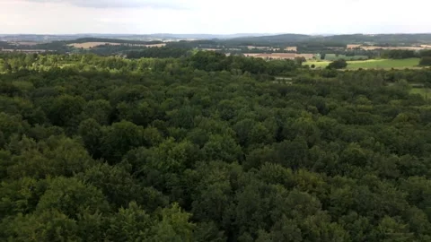 Aerial View Over A German Forest Treeline Vídeo Stock 339367572