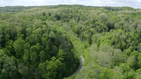 Aerial view over a gorge Stock Footage 158034469