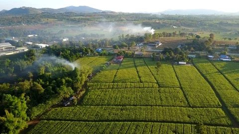 Aerial view over green corn fields in countryside 動画素材 101301890