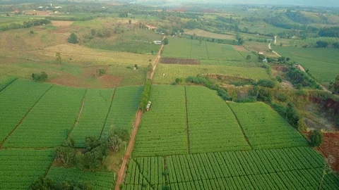 Aerial view over green corn fields in countryside. Stock-Footage 101860510