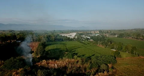 Aerial view over green corn fields in countryside. Stock-Footage 101862840