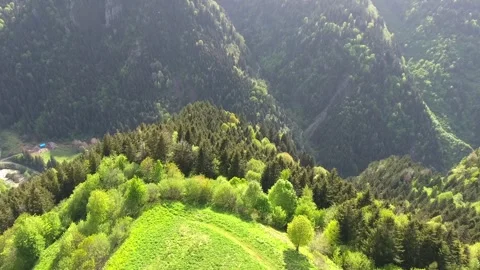 Aerial view over green meadow, forest road - Woodland Detail and Valley Texture Vidéo 339810163