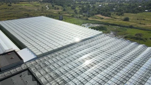 Aerial view over a Greenhouse in Springtime on a Sunny Day. Agriculture and Stock Footage 159877305