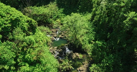 Aerial view over jungle waterfall pool Stock Footage 63576048