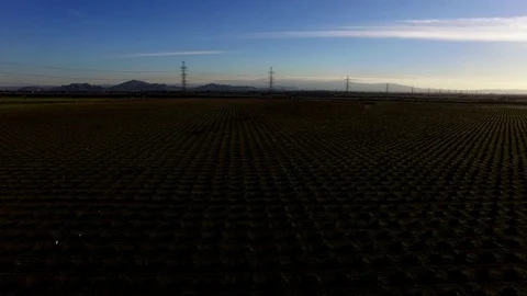 The aerial view over the landscape of borderless fields from the height Stock Footage 76619910