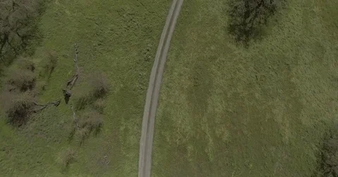 Aerial view over long road on grassy farmland. Stock Footage 75741706