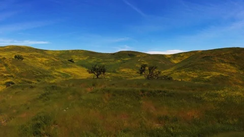 Aerial view over lush, green hills in California Stock Footage