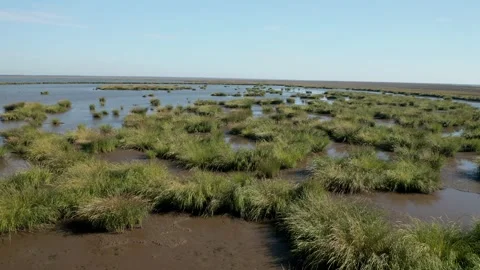 Aerial View Over Marsh on Gulf Coast of Mississippi and Louisiana Stockbeeldmateriaal 248922183