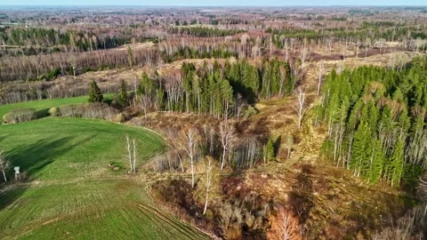 Aerial view over a mixed evergreen and deciduous forest bordering a green meadow Stock Footage 333158505