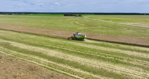 Aerial view over modern heavy harvester removes the ripe wheat bread in field. Vídeos de archivo 204950087