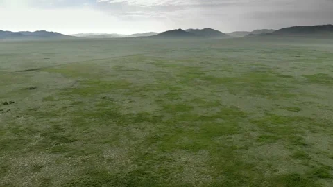 Aerial view over Mongolia steppe shows endless treeless plain - Natural Scenery Stock Footage 339723223