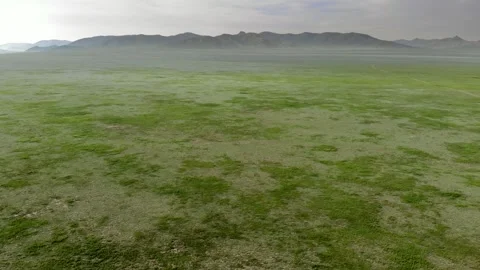 Aerial view over Mongolia steppe shows endless treeless plain - Country Meadow Stock Footage 339723326