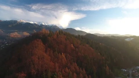 Aerial view over a mountain forest during autumn Video stock 71532689
