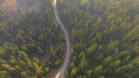 Aerial view over mountain forest road with car moving through green pine trees. Stock Footage 150622636