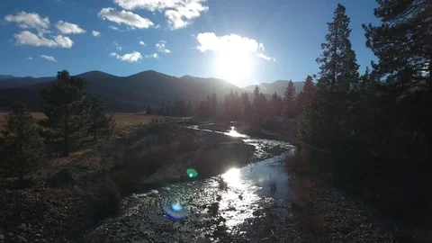 Aerial view over mountain river, forest and mountain at sunny day -California Stock Footage 82606214