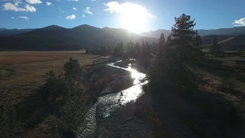 Aerial view over mountain river, forest and mountain at sunny day - California Stock Footage 82606572