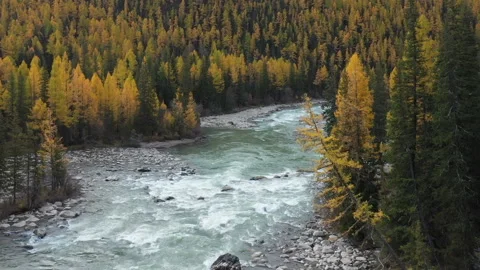 Aerial View Over the Mountain River in Autumn Altai Mountains, Siberia, Russia. Vídeos de archivo 151248136