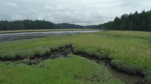Aerial view over muddy river Stock Footage 154929558