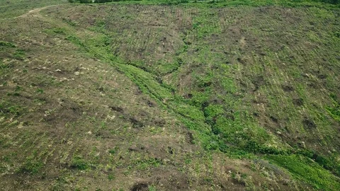 Aerial view over Myanmar fields and forests Stock Footage 95660057