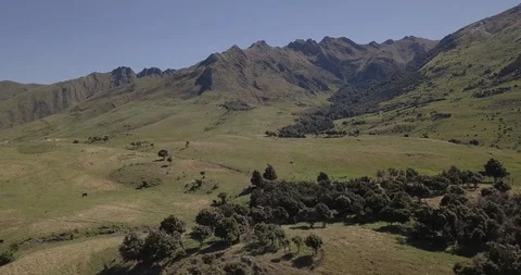 Aerial View over New Zealand's native Landscape Stock Footage