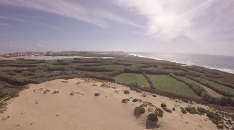 Aerial view over ocean grass sand dunes at sunny day - Torres Vedras, Portugal Stock Footage 64631029