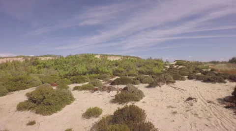 Aerial view over ocean grass sand dunes - Portugal Stock Footage 64632557