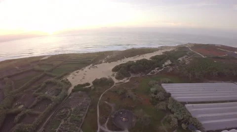 Aerial view over ocean grass sand dunes at sunrise - Torres Vedras, Portugal Stock Footage 64646614