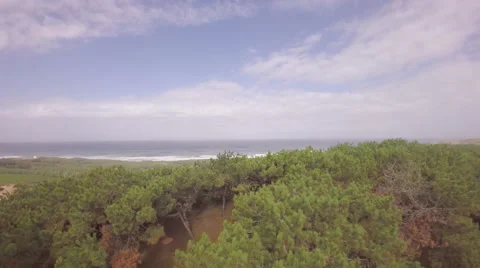 Aerial view over ocean grass sand dunes at sunny day - Torres Vedras, Portugal Stock Footage 64646833