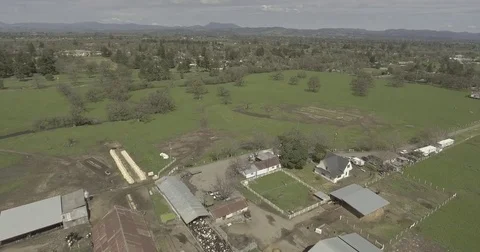Aerial view over open farm land with cows, a barn and other animals. Stock Footage 75741744