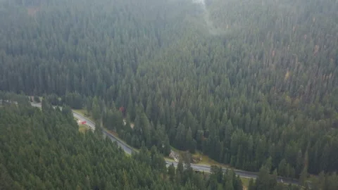 Aerial view over pine forest road with car moving green trees woods growing both Stock Footage 97305441
