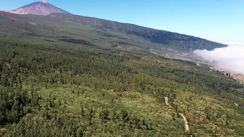 Aerial view over pine forest with clouds rising and Teide Video stock 330271943